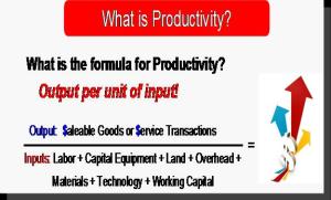 What is Productivity Figure 1
